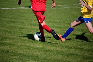 爱游戏体育APP下载-中超球员比赛热度曲线与表现匹配模型，中超热身赛